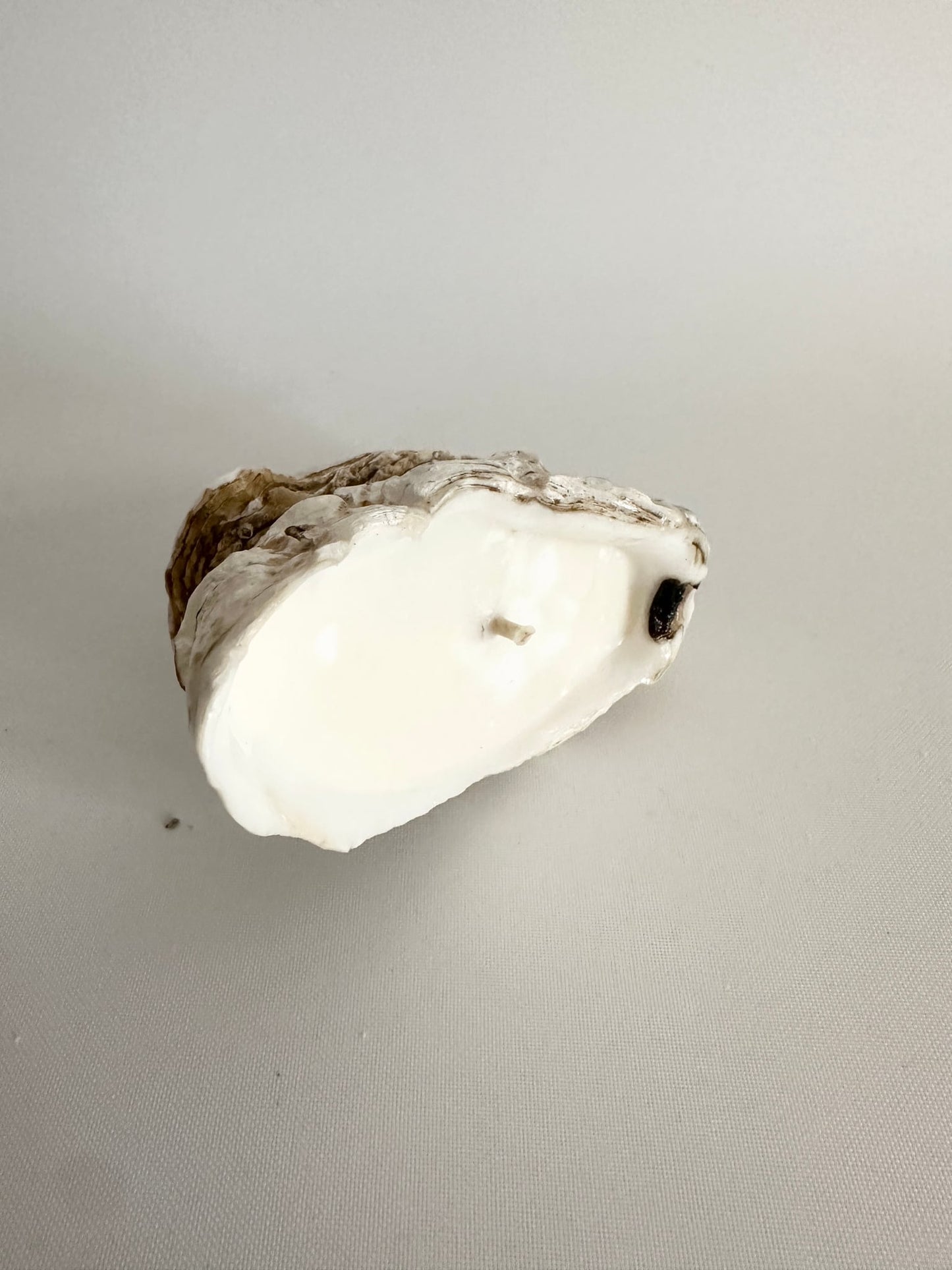 Image at position 6