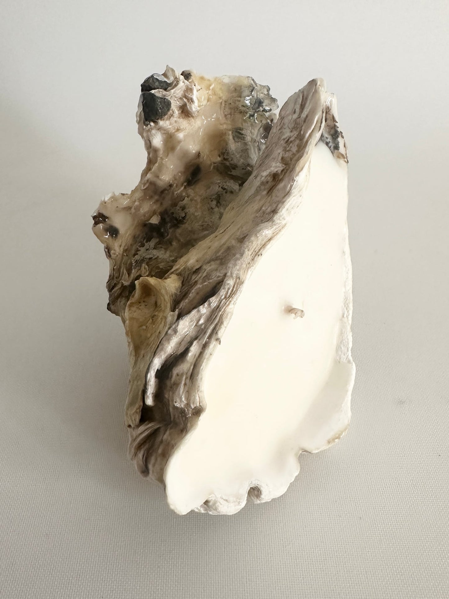 Image at position 3