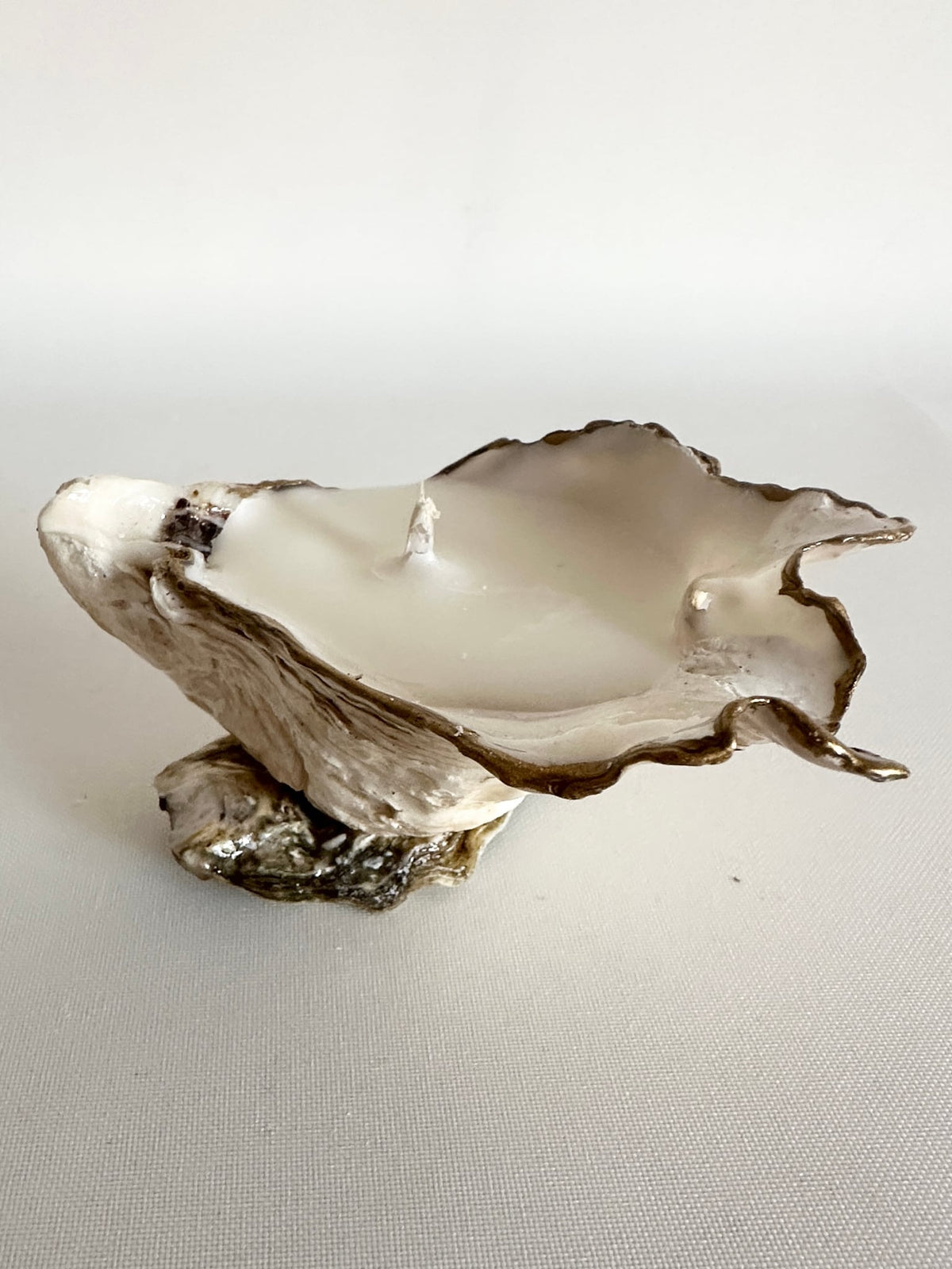 Image at position 1