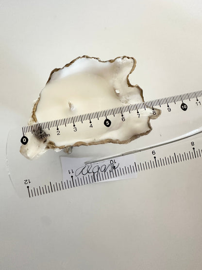 Image at position 6