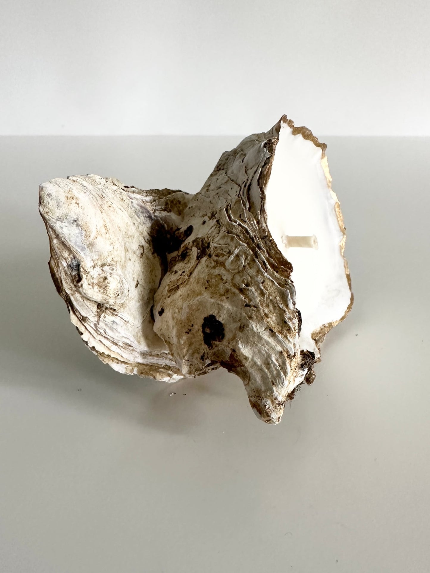 Image at position 4