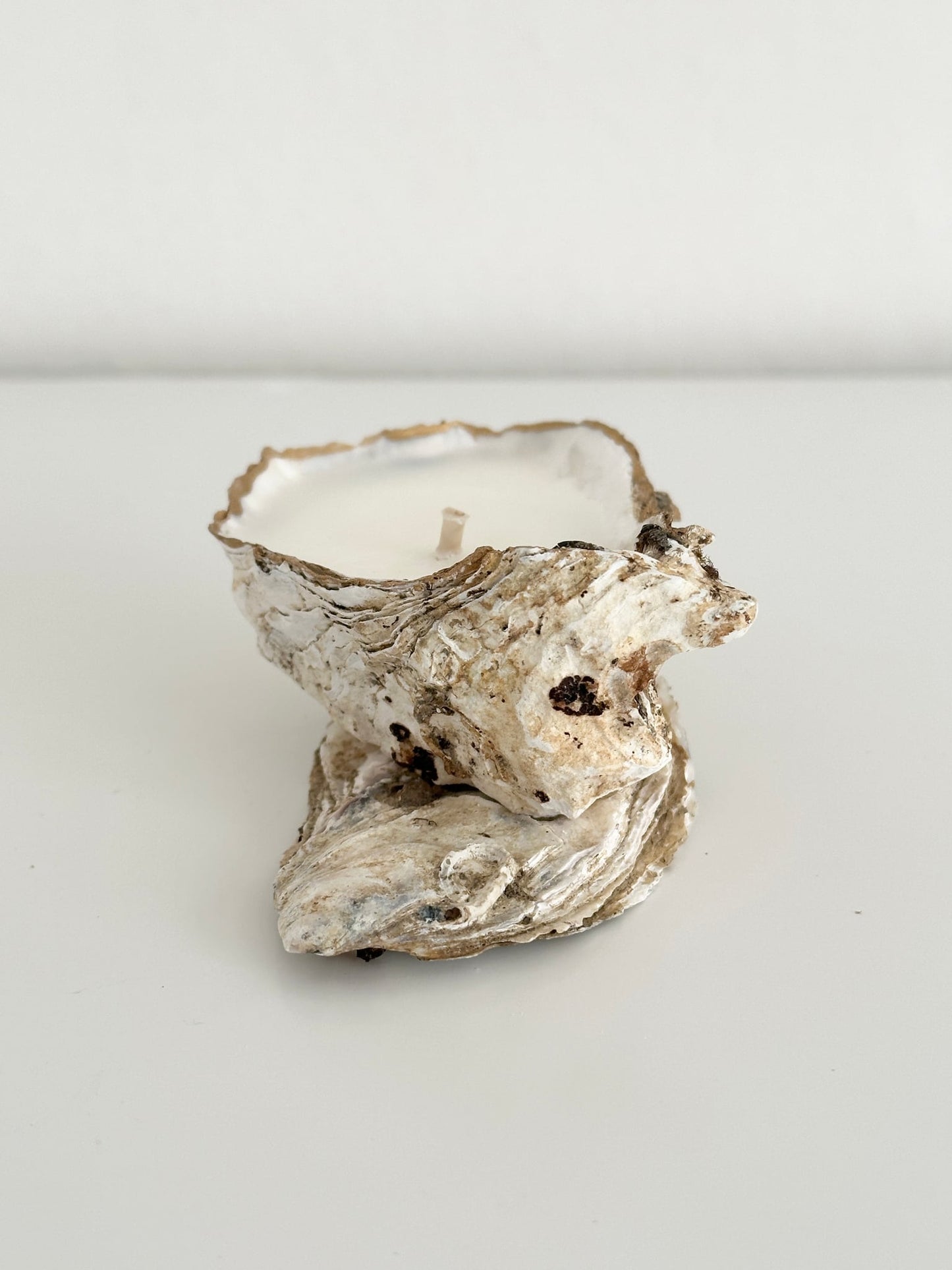 Image at position 1