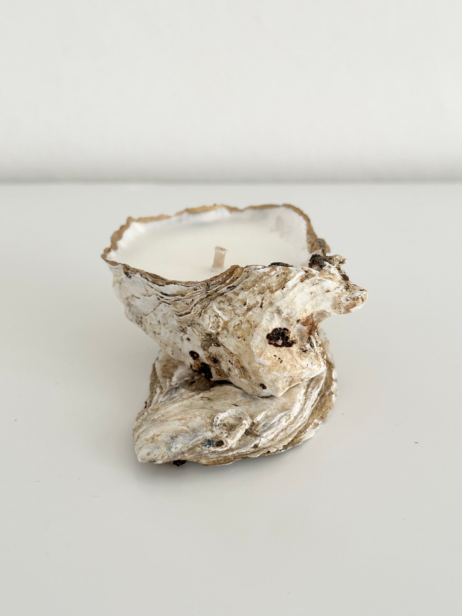 Image at position 1