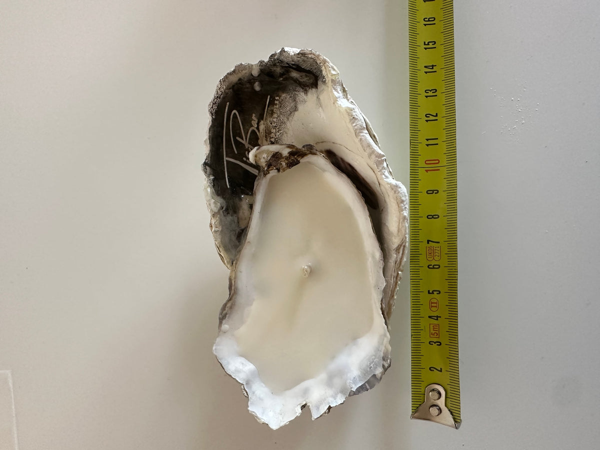 Image at position 1