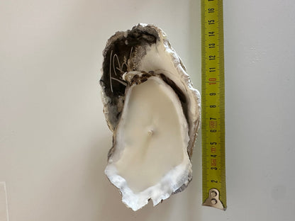 Image at position 1