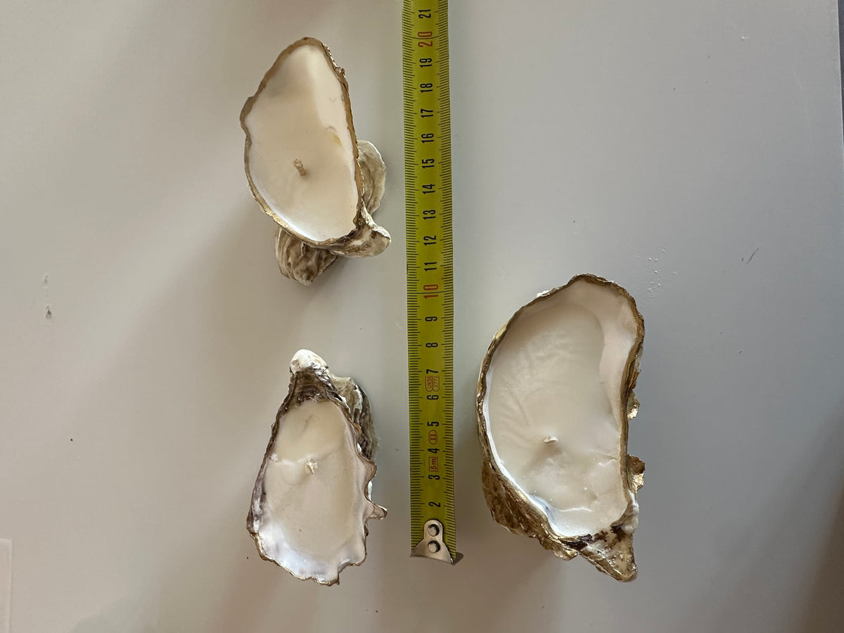 Image at position 1