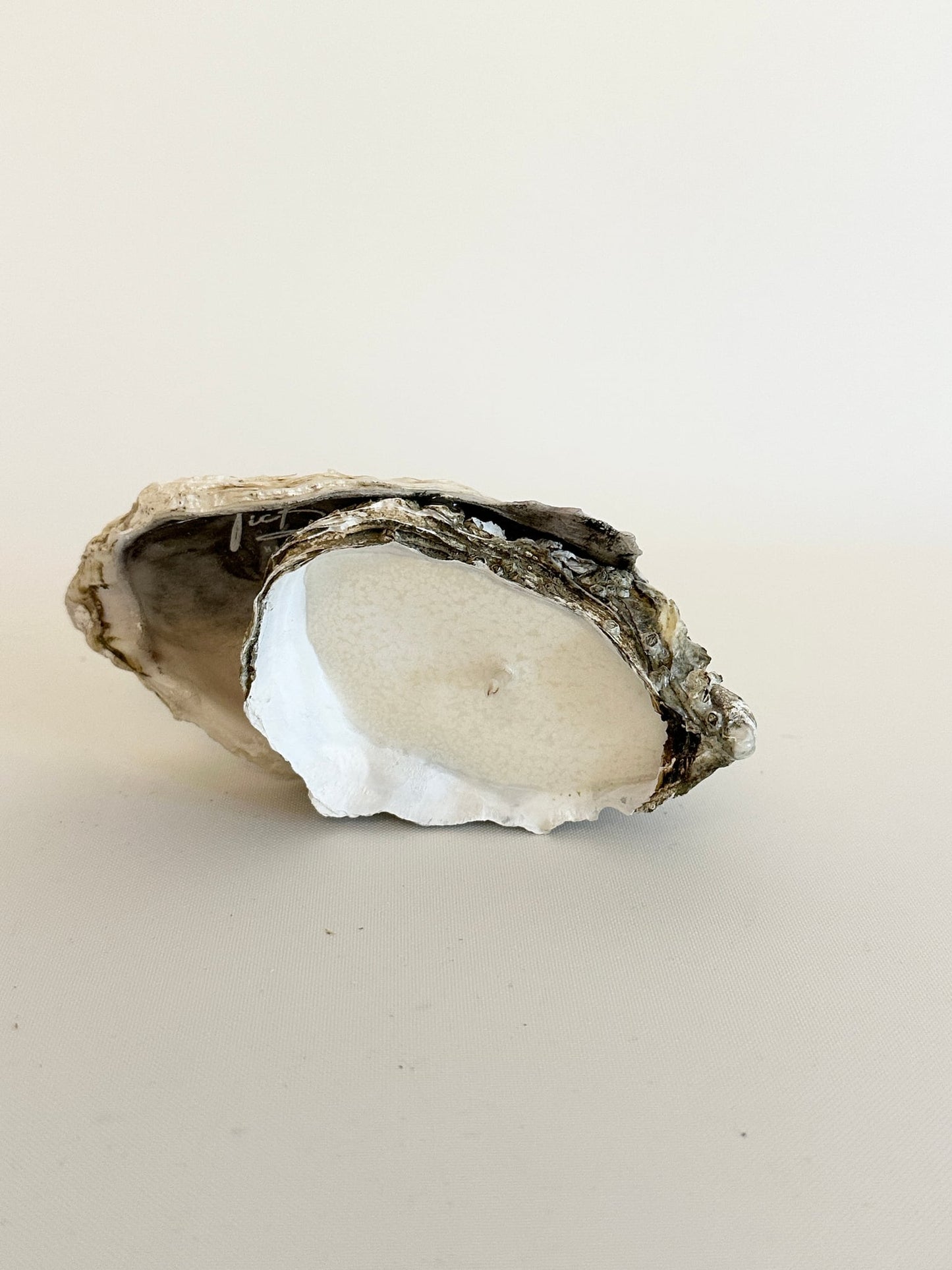 Image at position 7