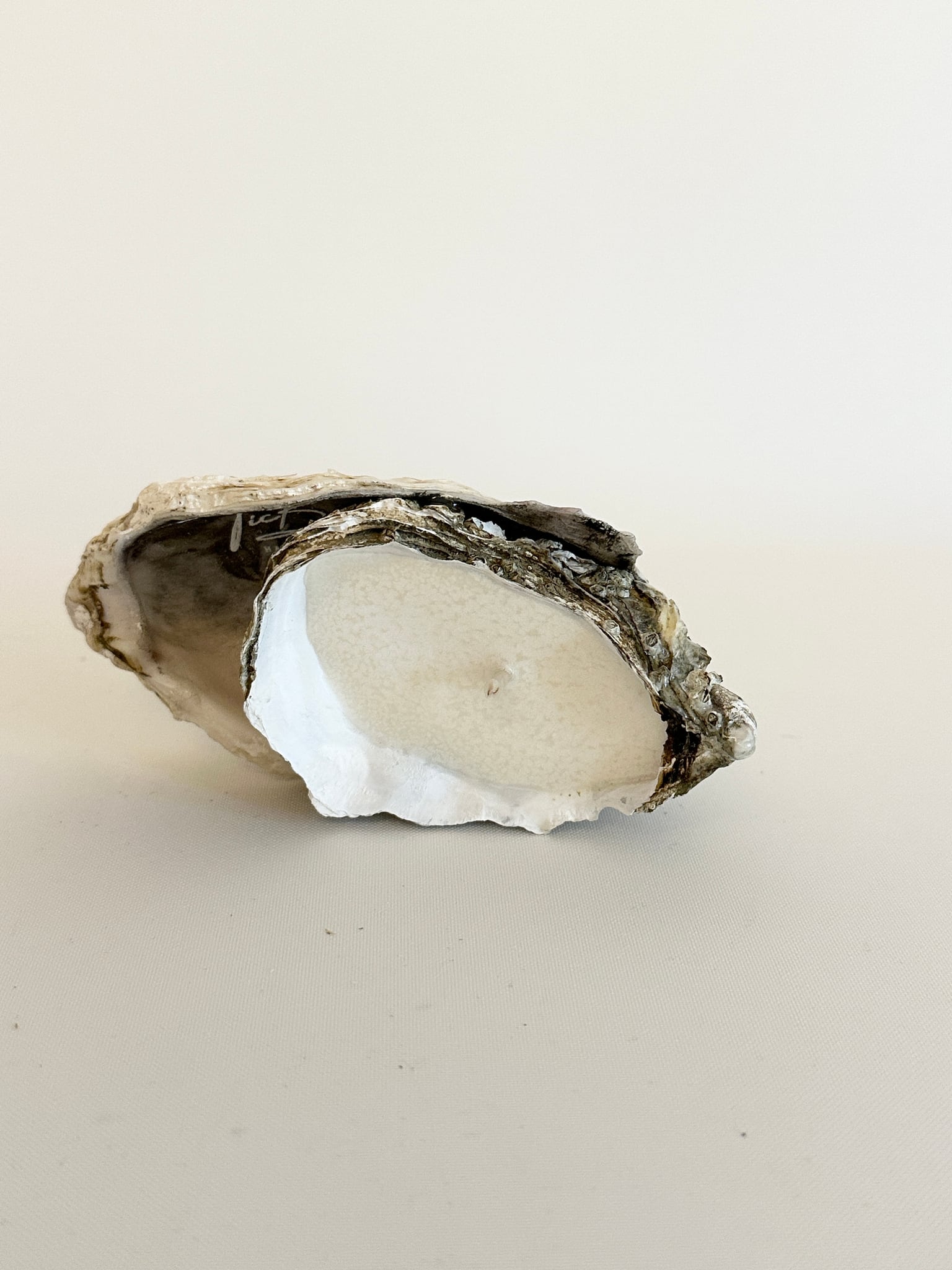 Image at position 7