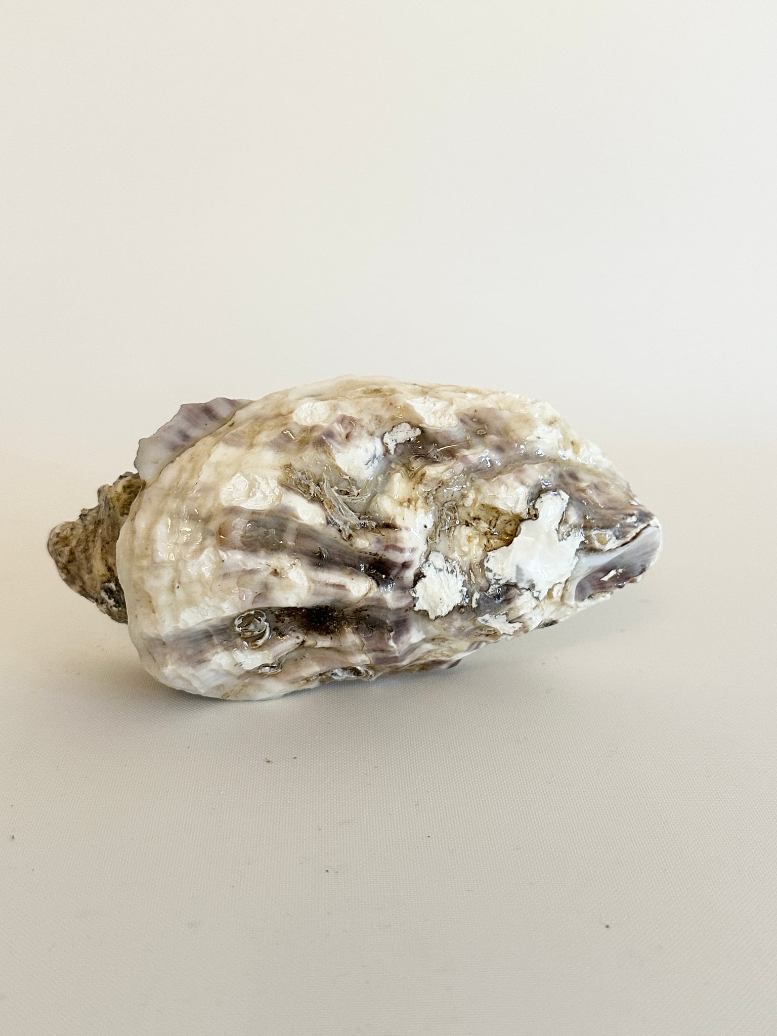 Image at position 8