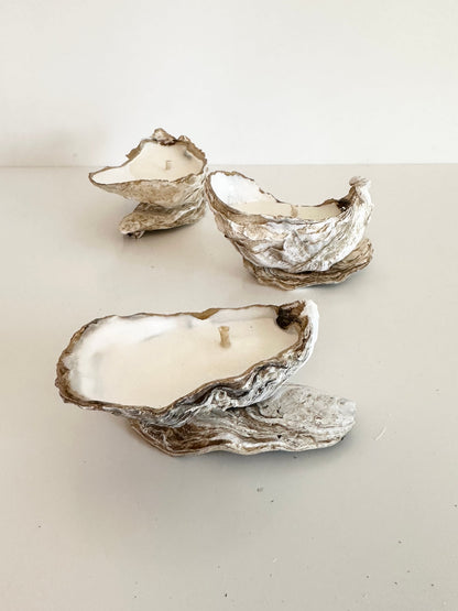 Image at position 7