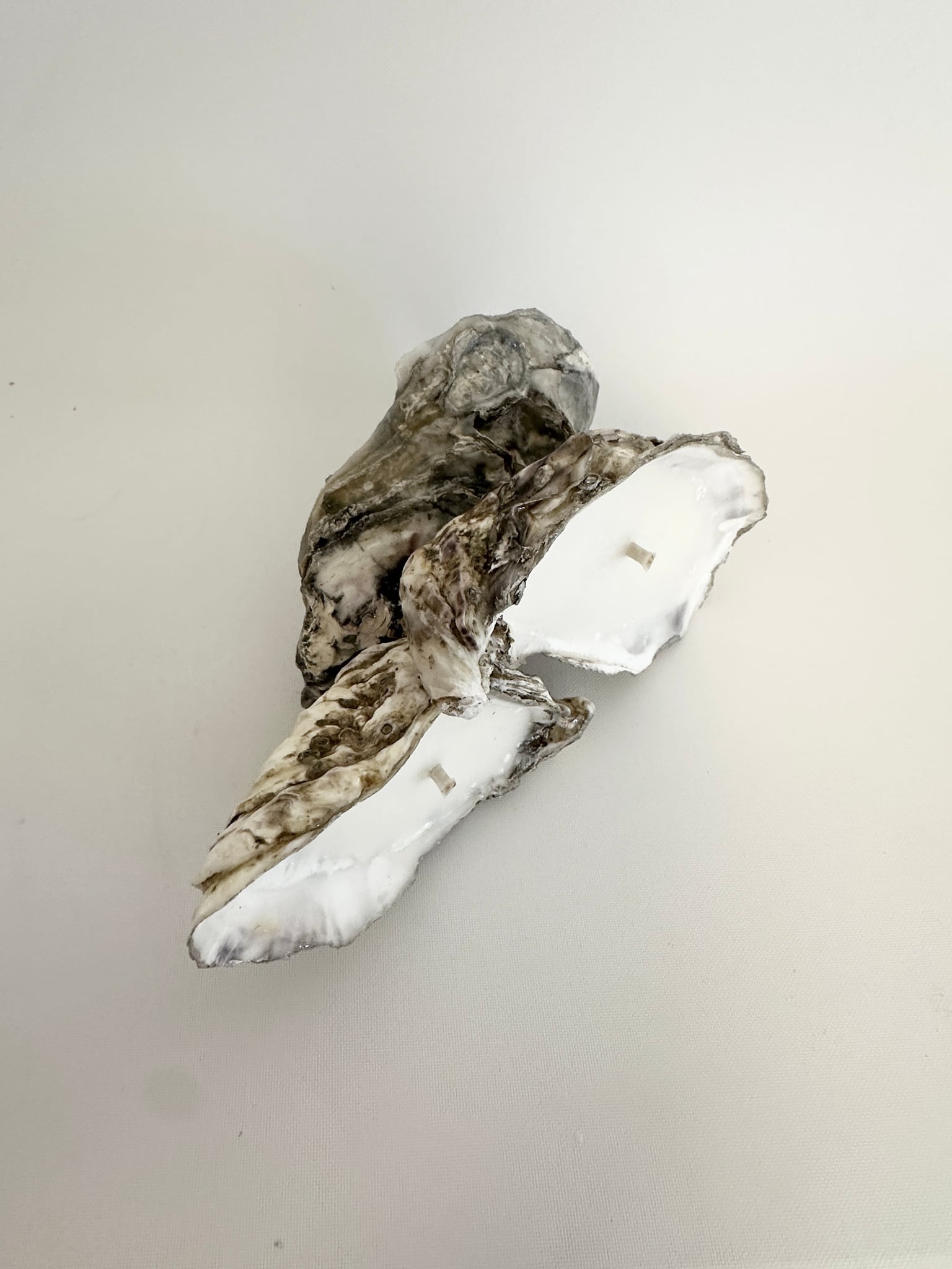Image at position 3