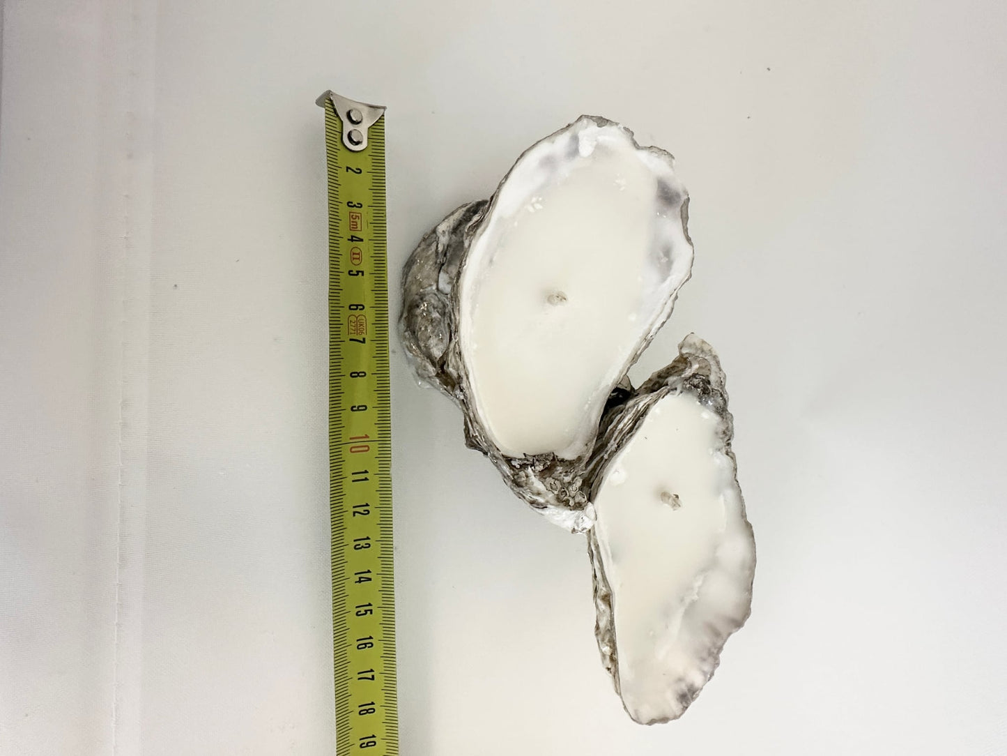 Image at position 6