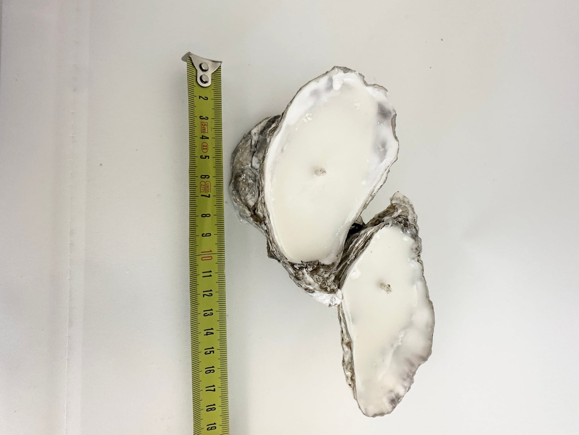 Image at position 6