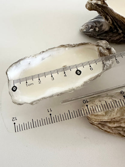 Image at position 6
