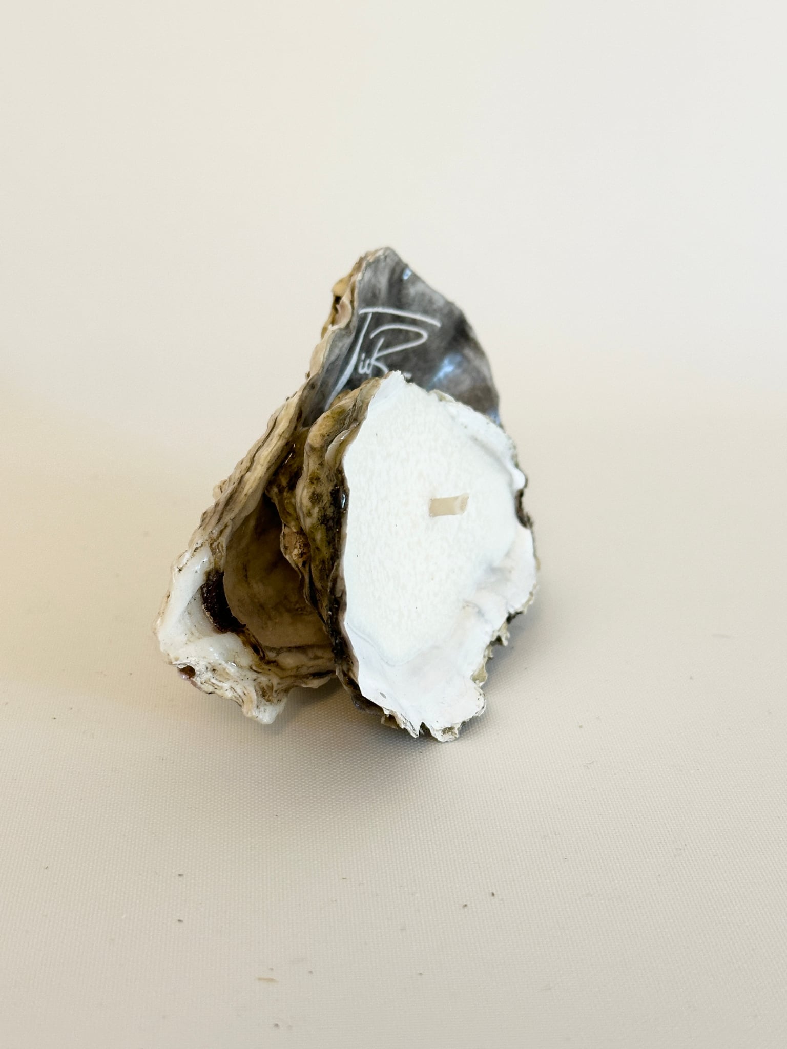 Image at position 2