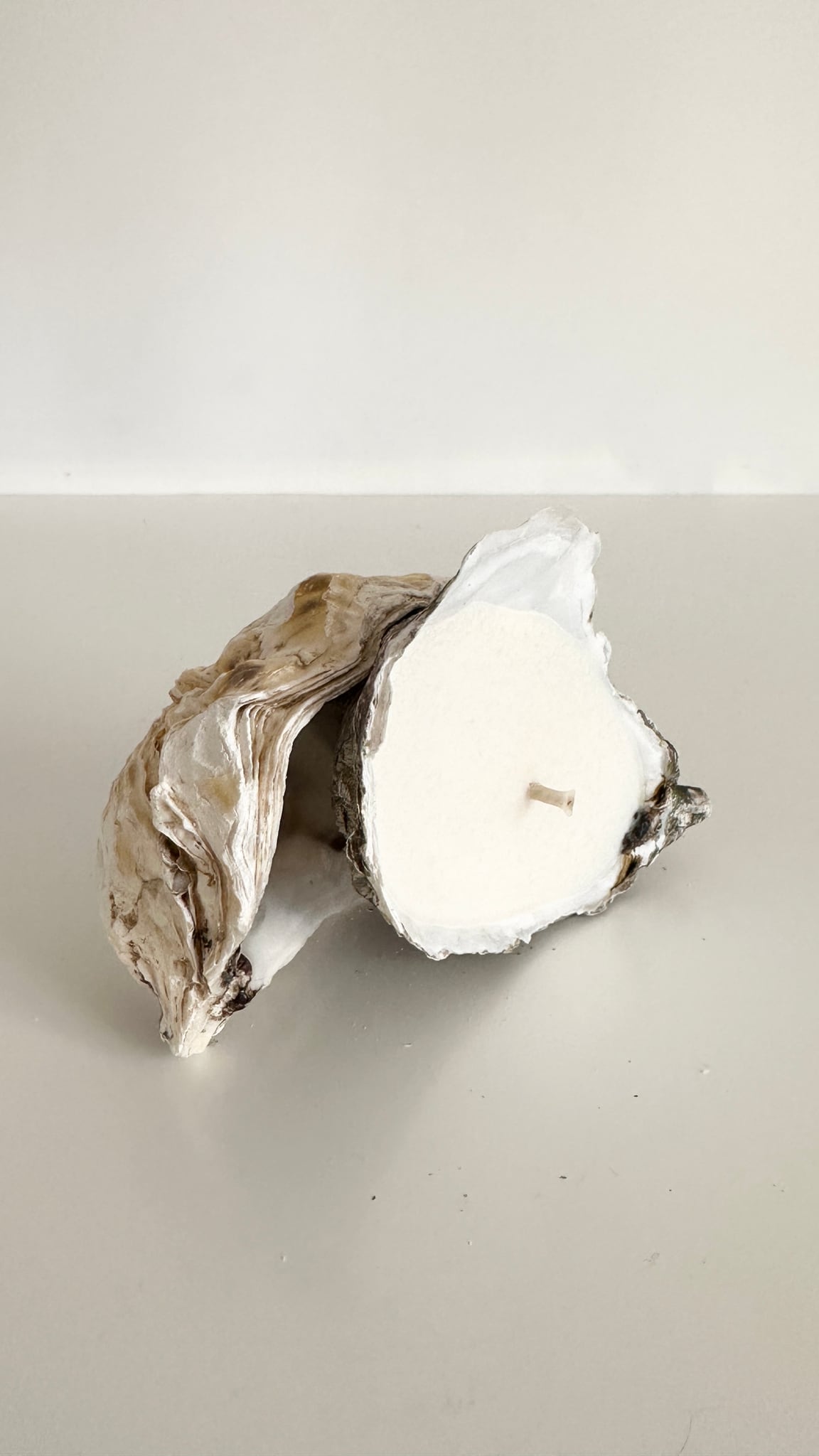 Image at position 5