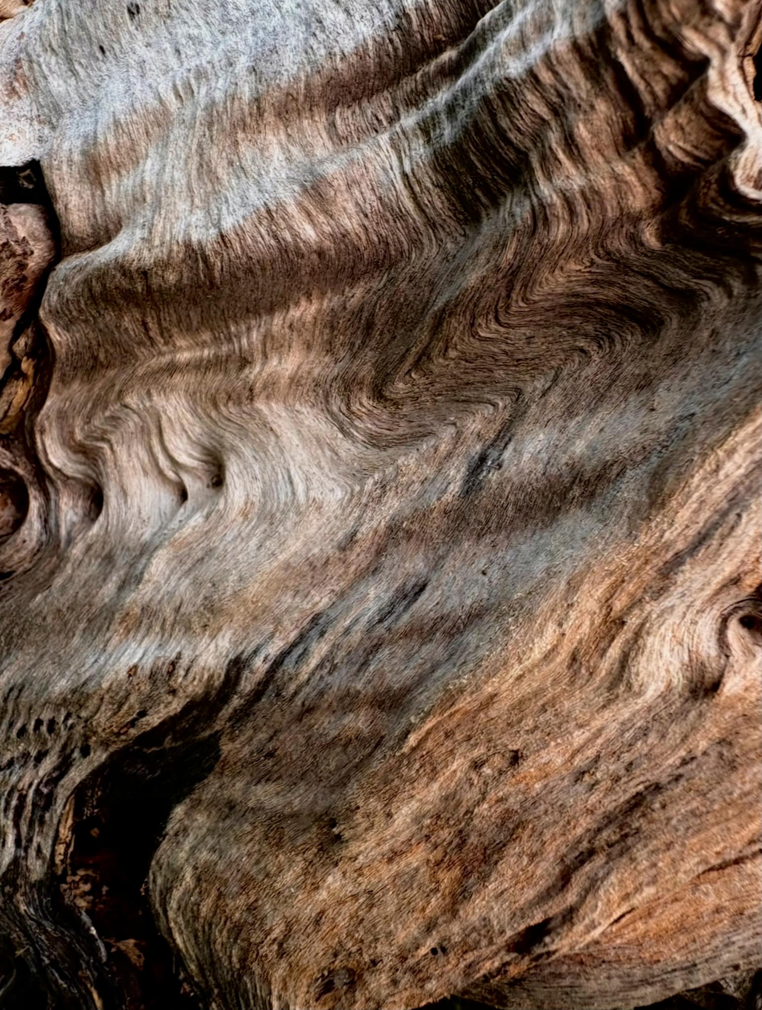 Image at position 6