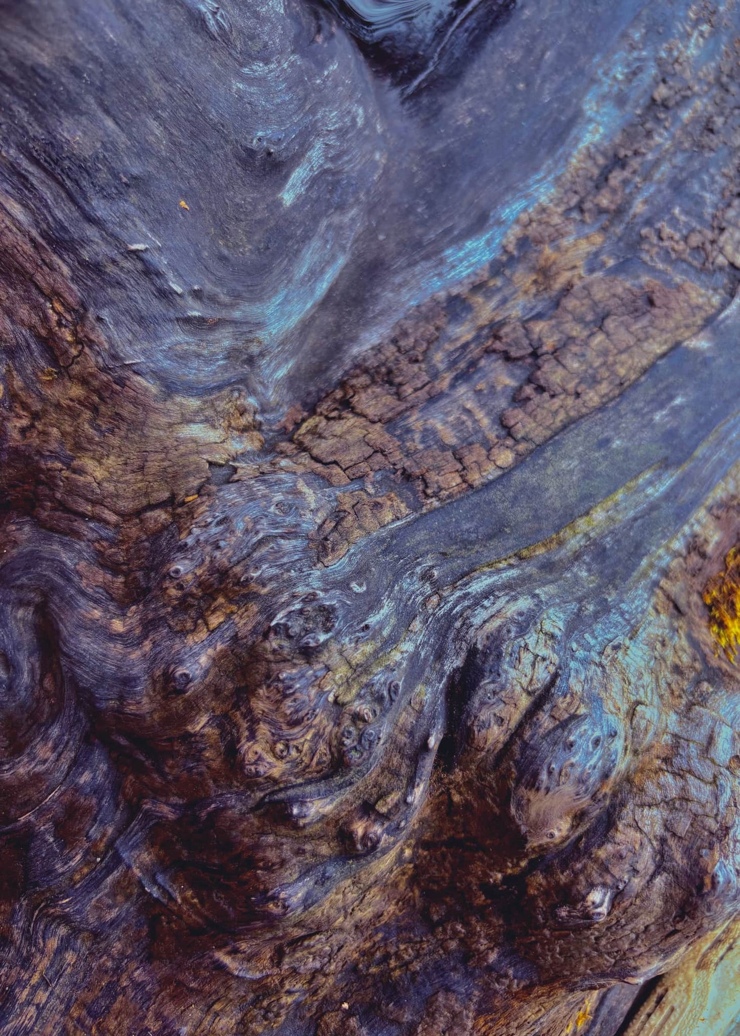 Image at position 6