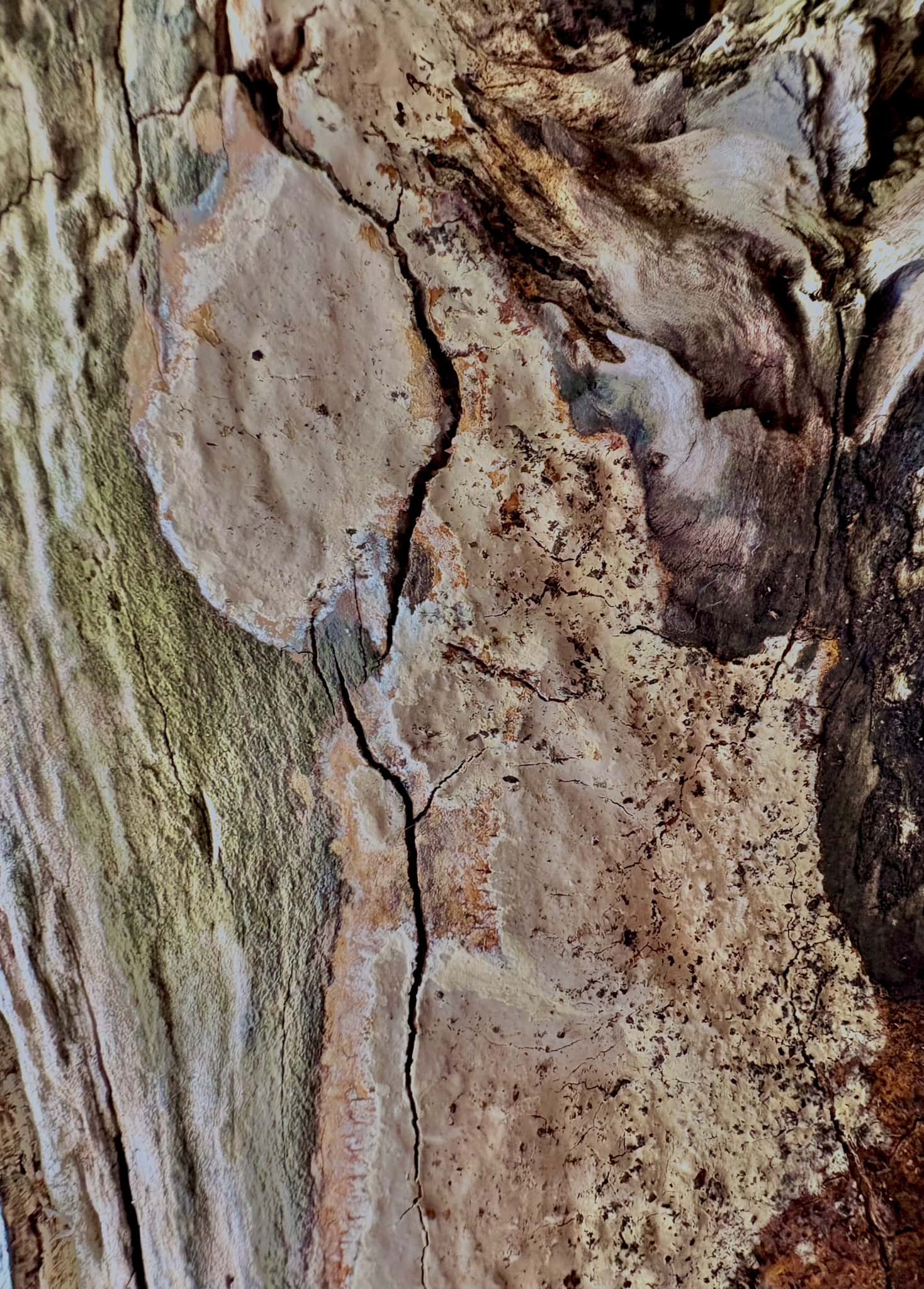 Image at position 6