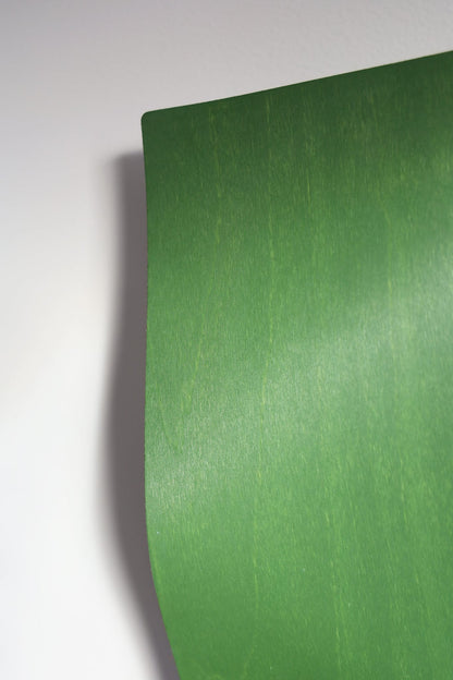 Image at position 5