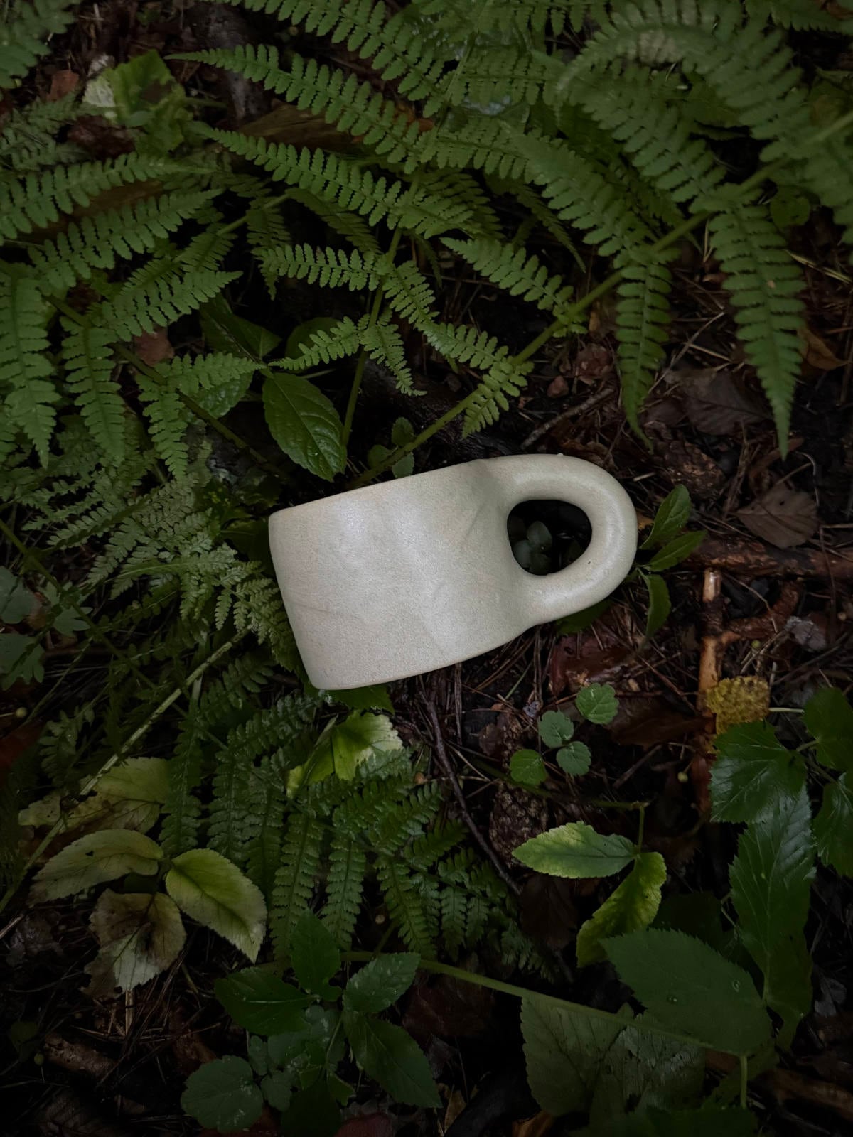 Image at position 1