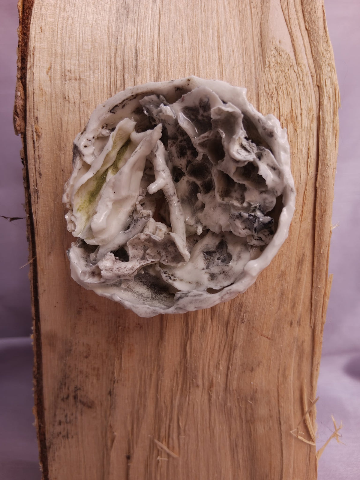 Image at position 2