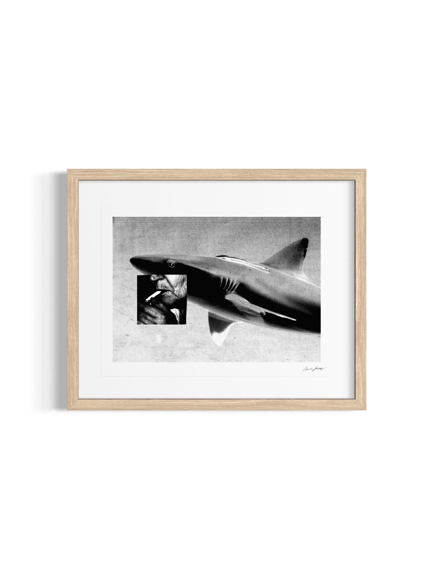 Image at position 1