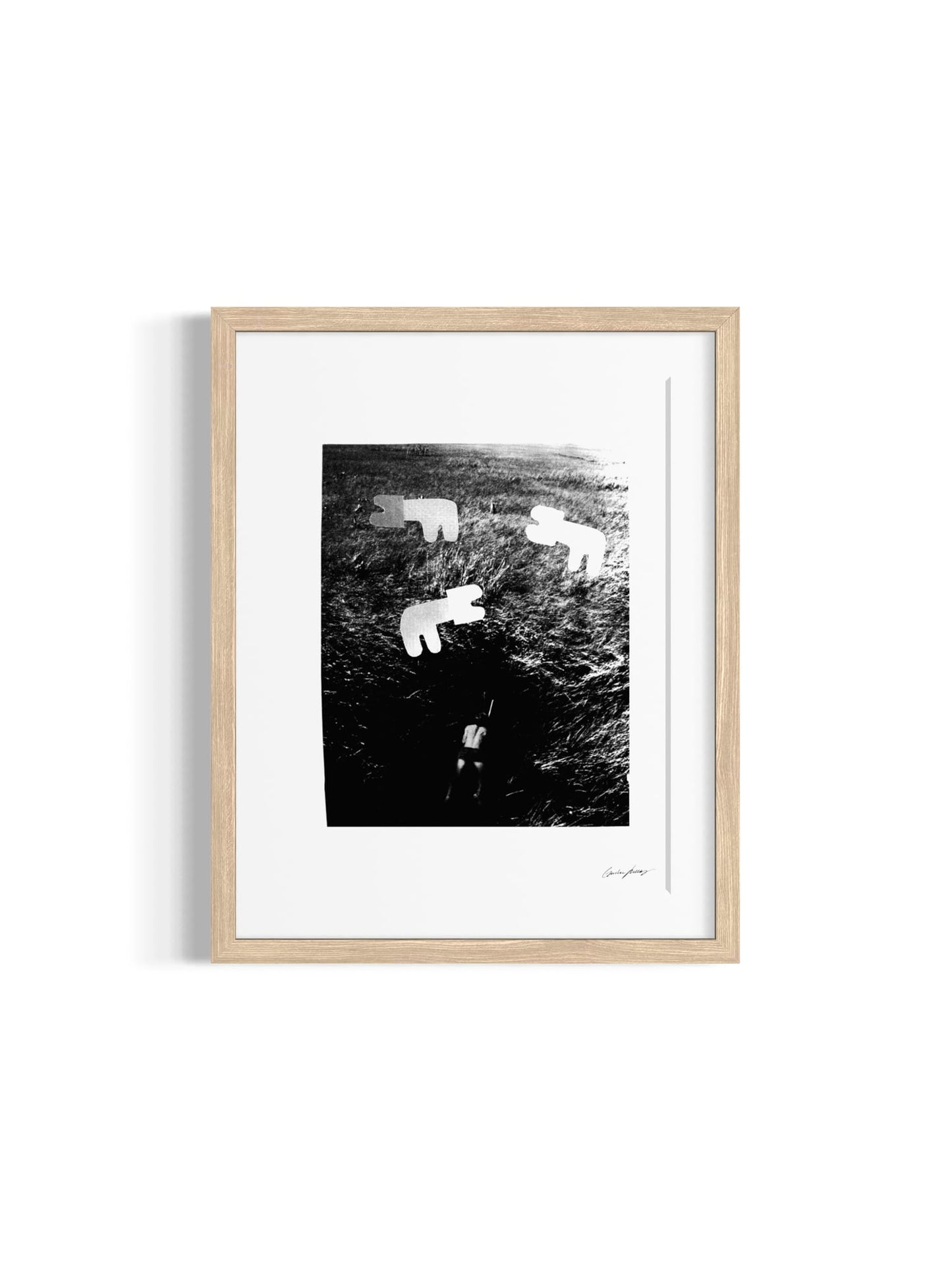 Image at position 1