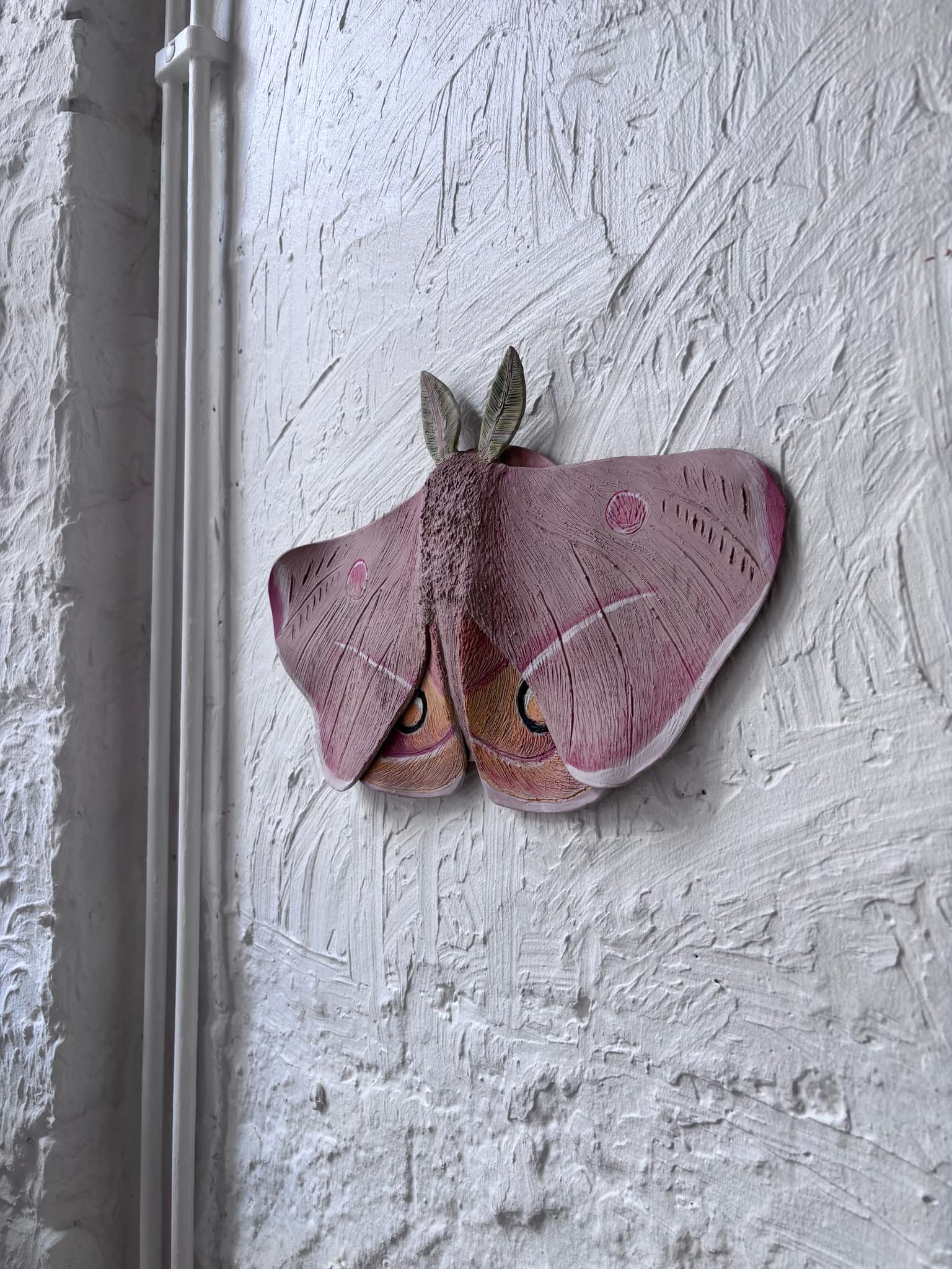 Image at position 1