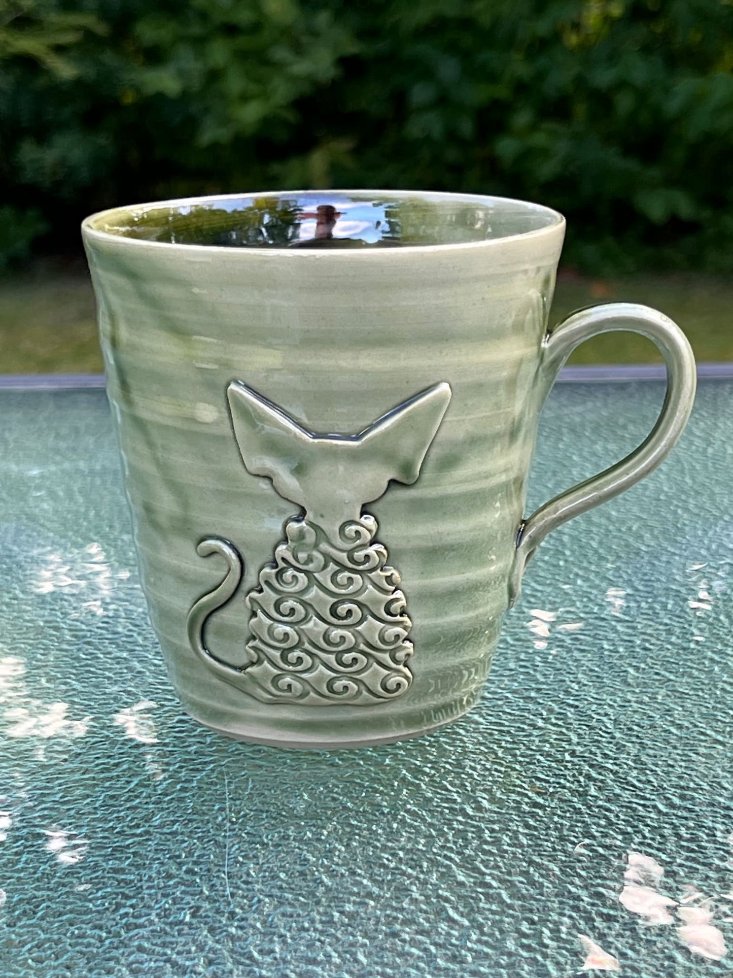 Devon Rex kopp