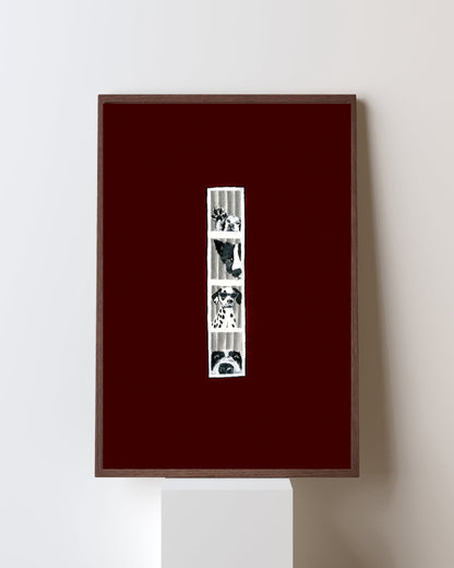 Image at position 1