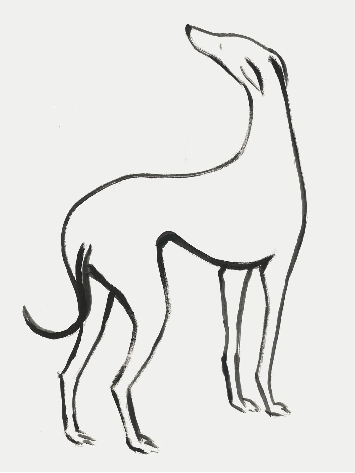 Image at position 2