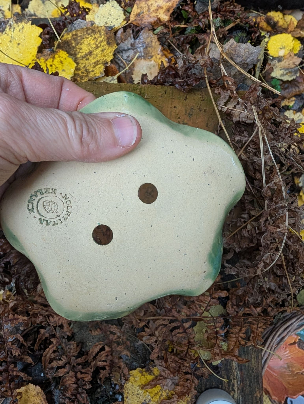 Image at position 4