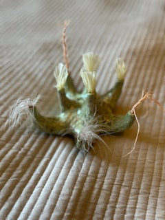 Image at position 2