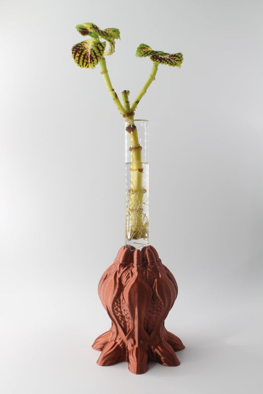 Image at position 1