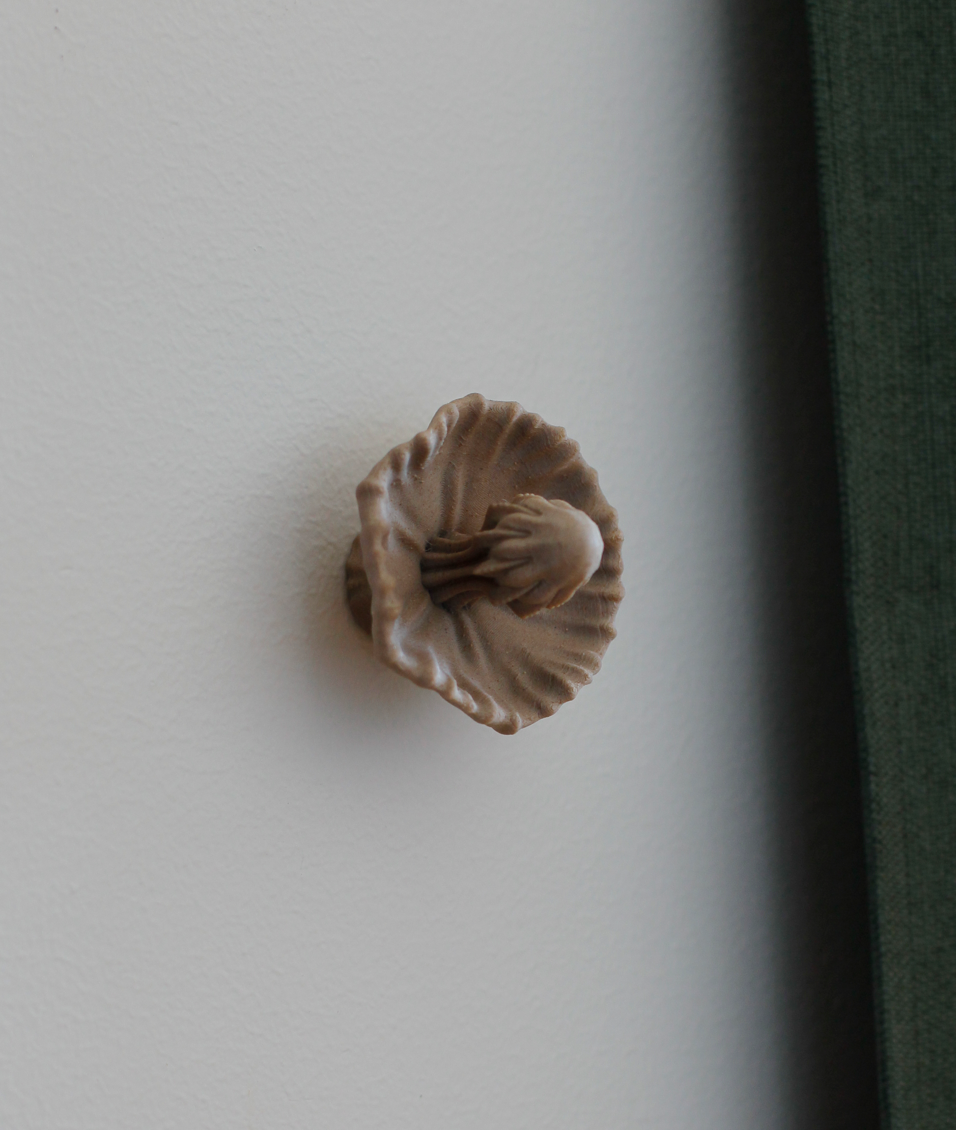 Image at position 1