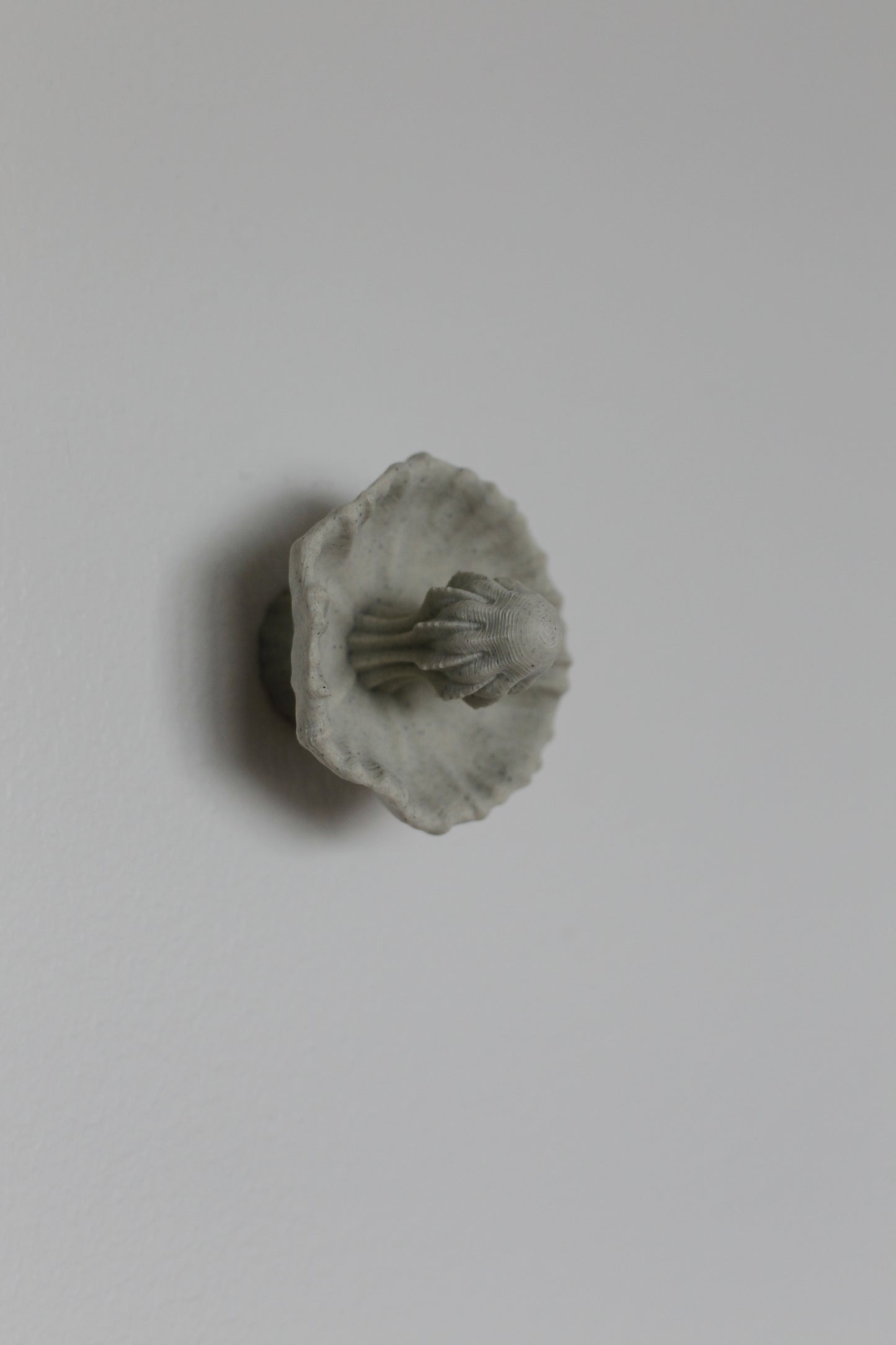 Image at position 3
