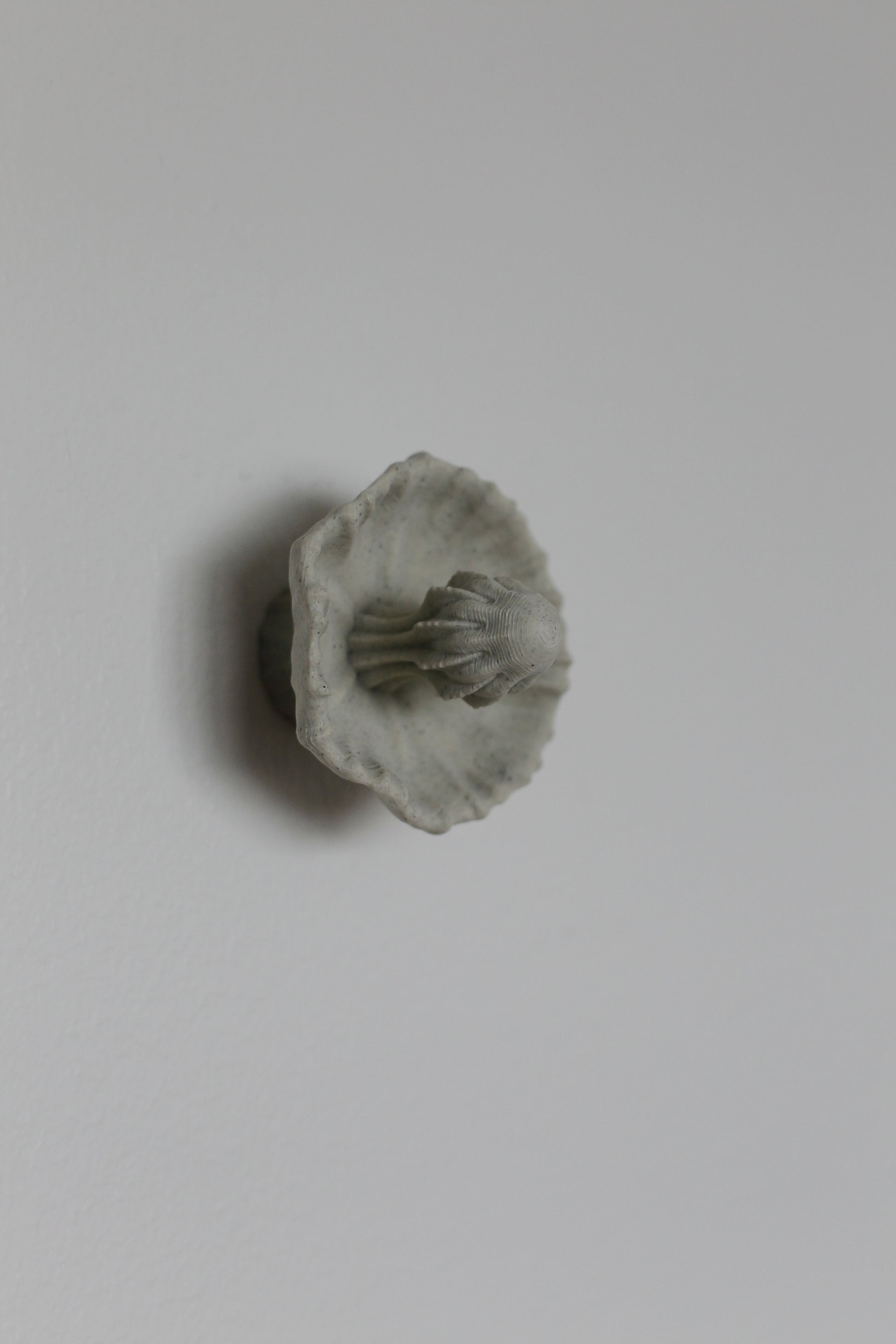 Image at position 3