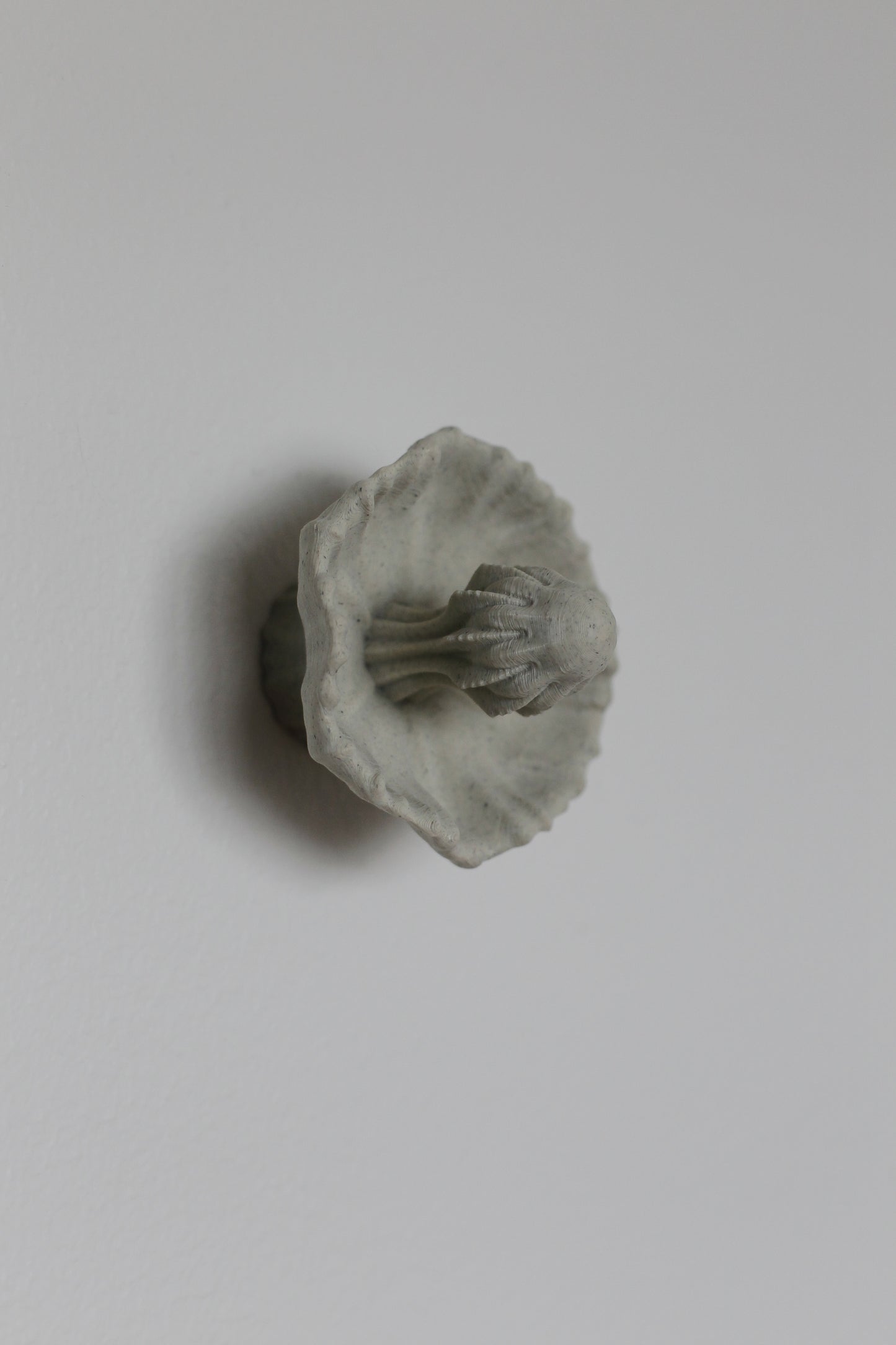 Image at position 4