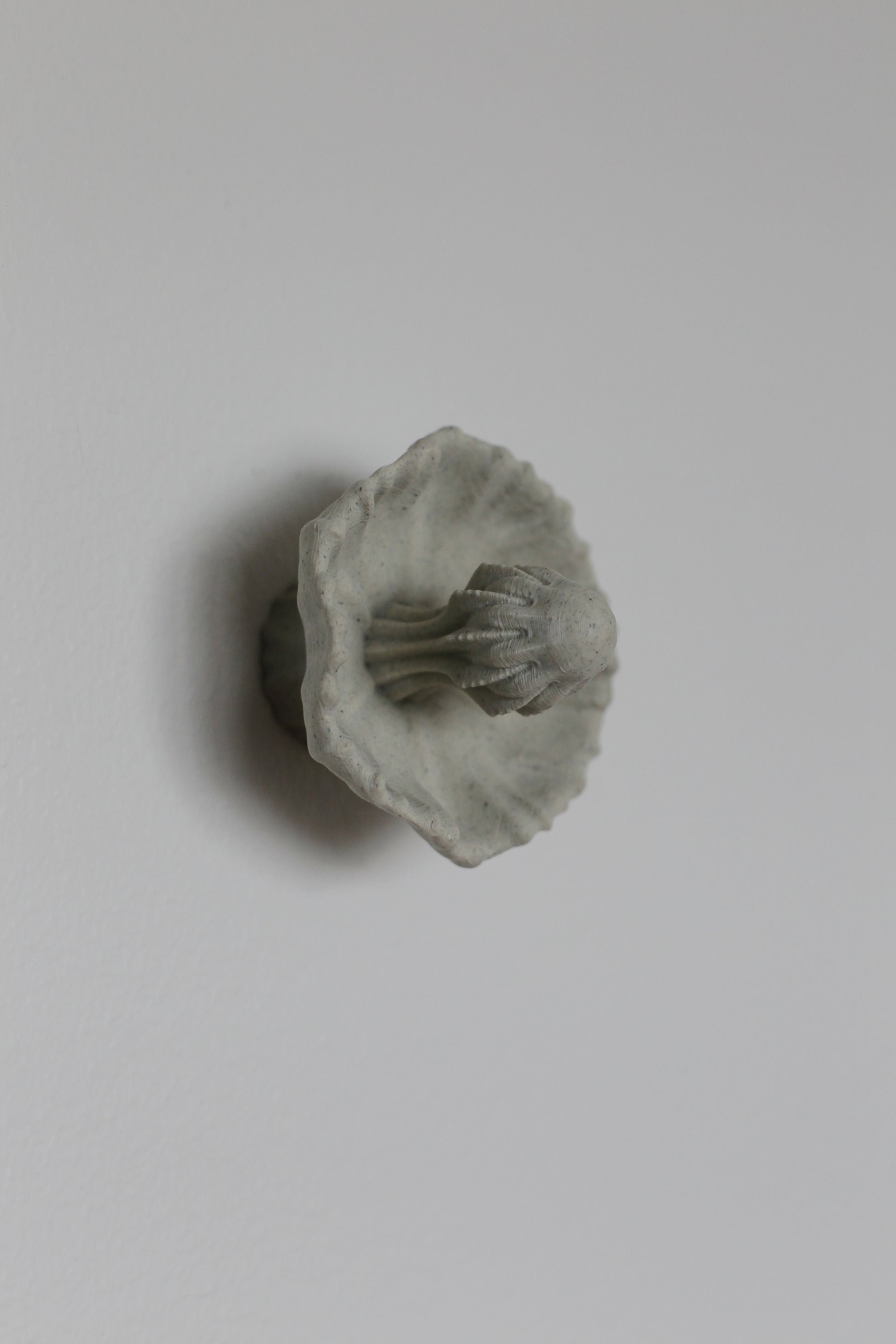 Image at position 4