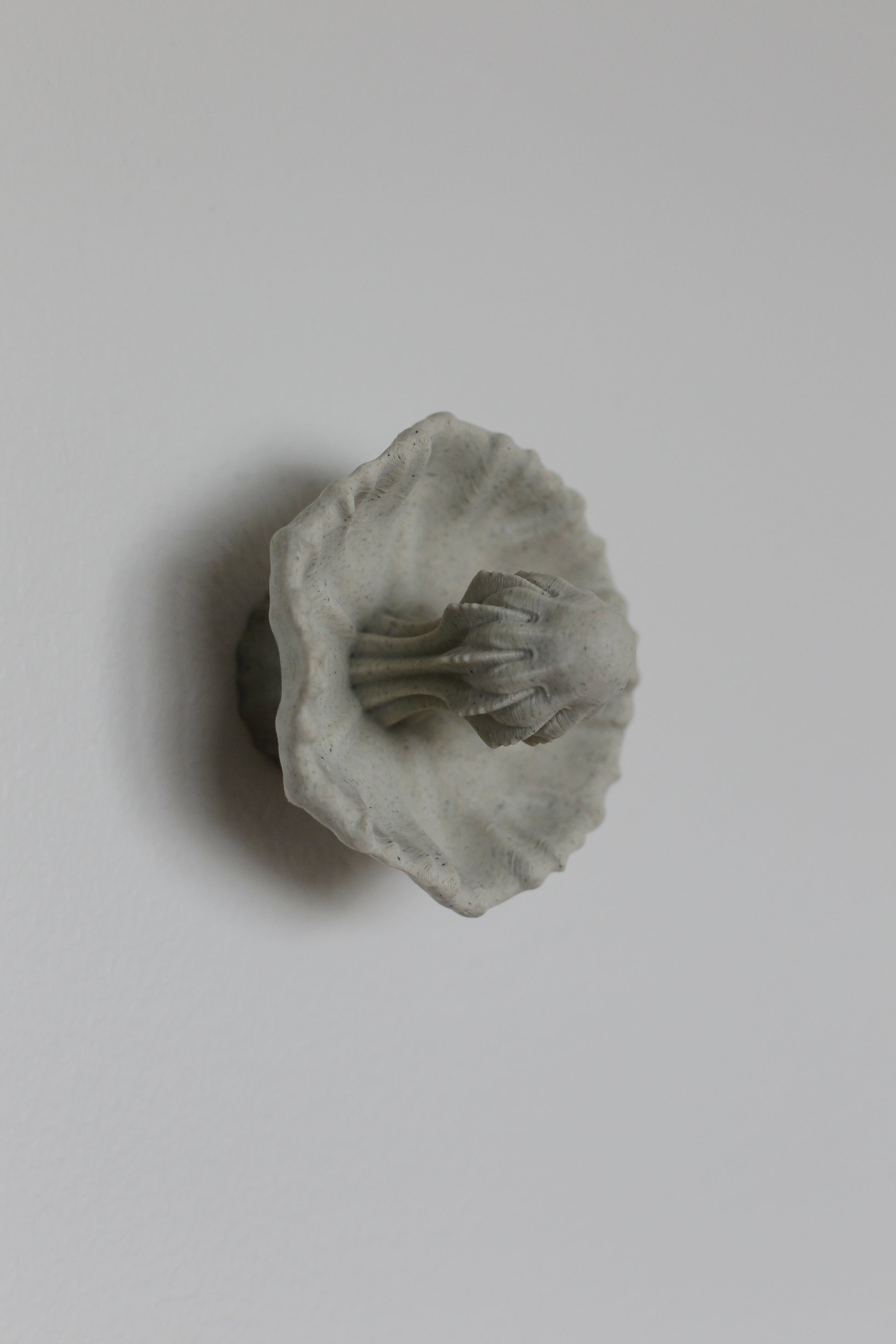 Image at position 5