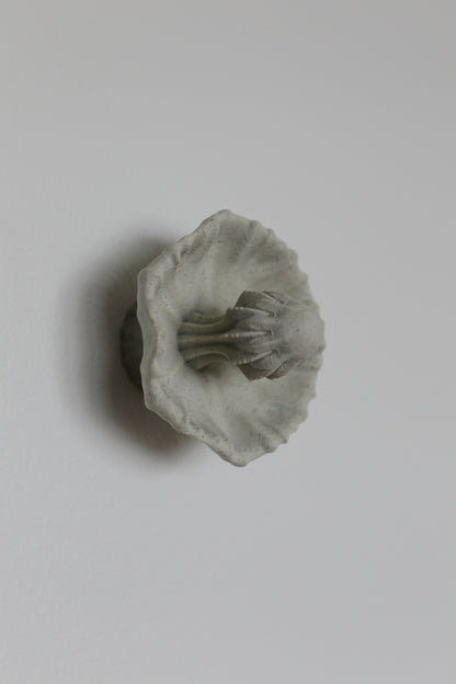 Image at position 5