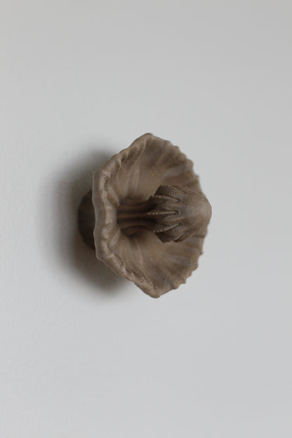Image at position 5