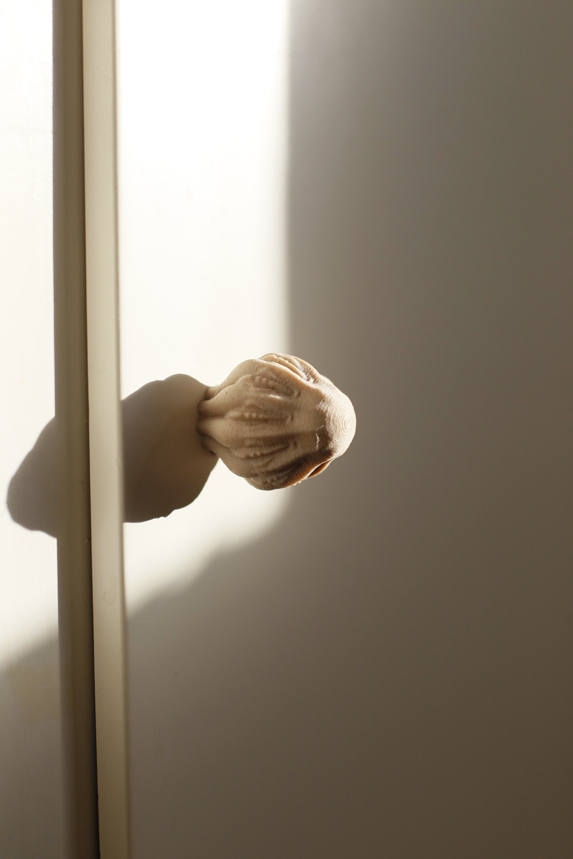 Image at position 1