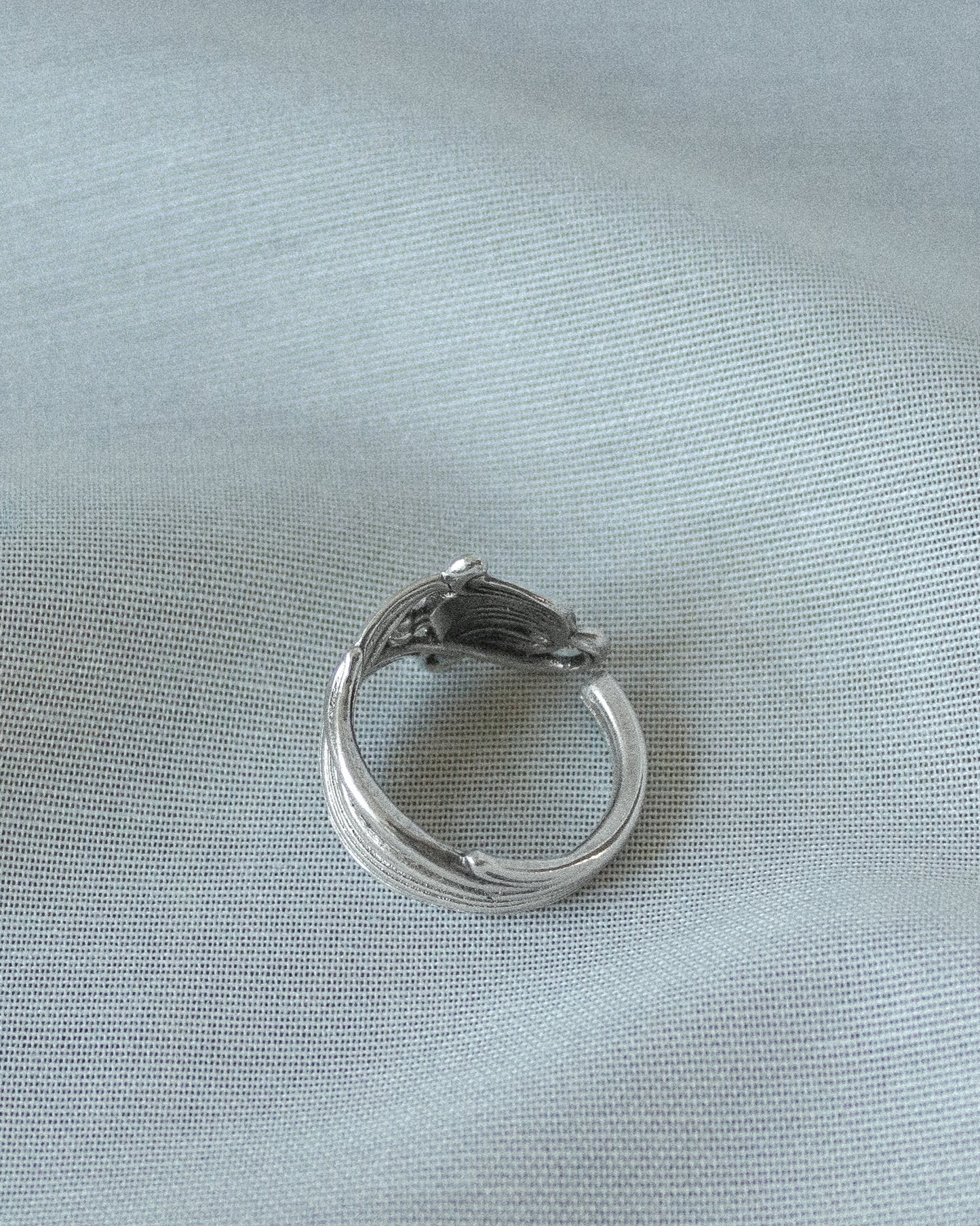 Image at position 4
