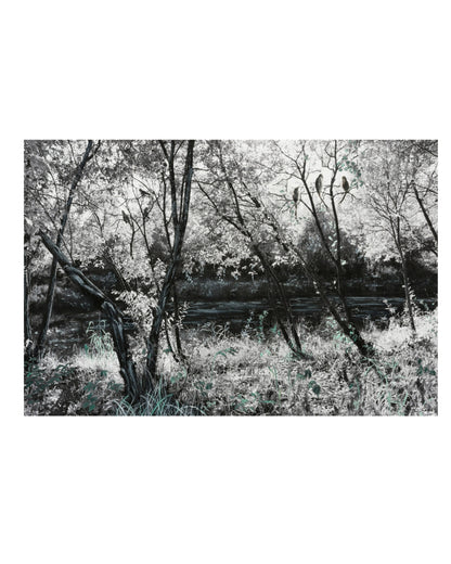 Image at position 1