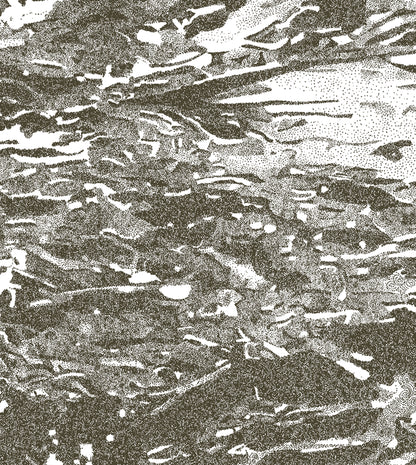 Image at position 4