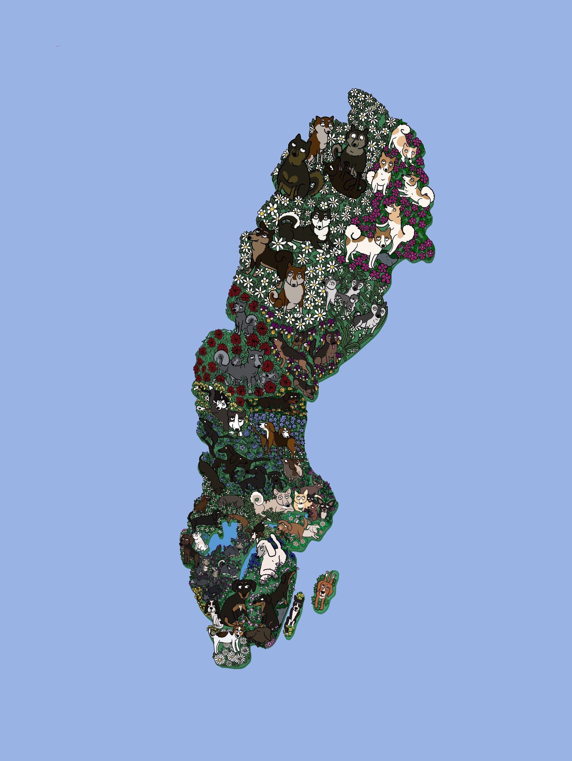Image at position 1