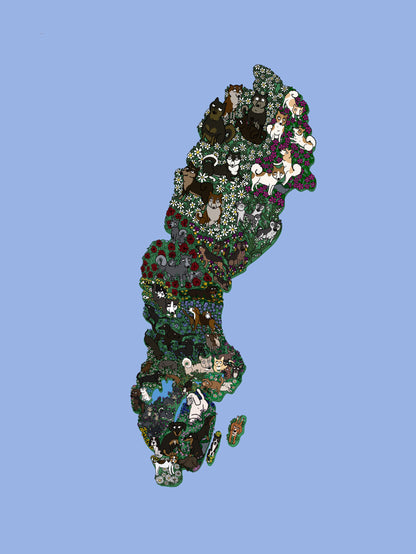 Image at position 1