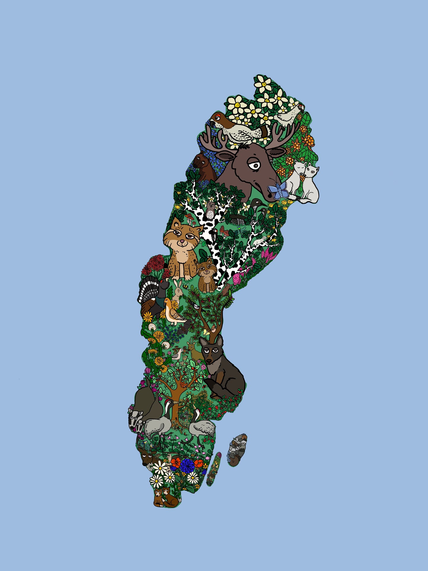 Image at position 1